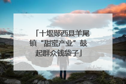 十堰郧西县羊尾镇“甜蜜产业”鼓起群众钱袋子